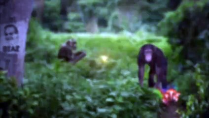 Is the Coronavirus a Bioweapon w Michael Osterholm   Joe Rogan