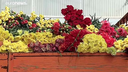 Mercado das flores estagnado devido à Covid-19