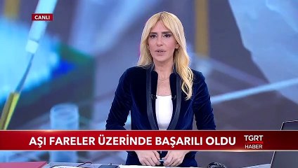 Aşı Fareler Üzerinde Başarılı Oldu