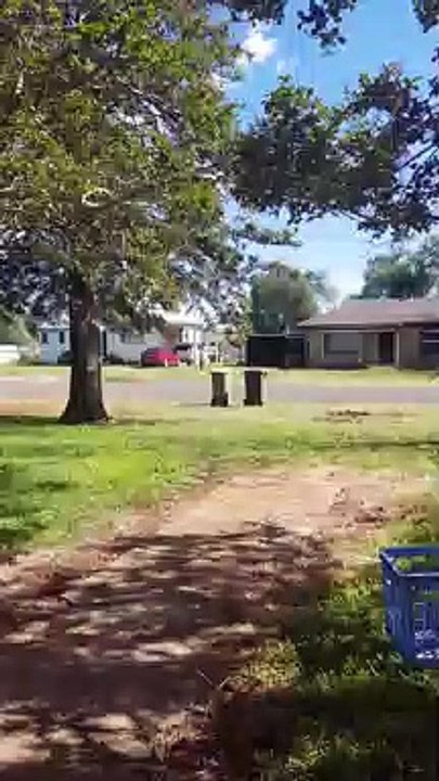 Teletubby Mows the Lawn