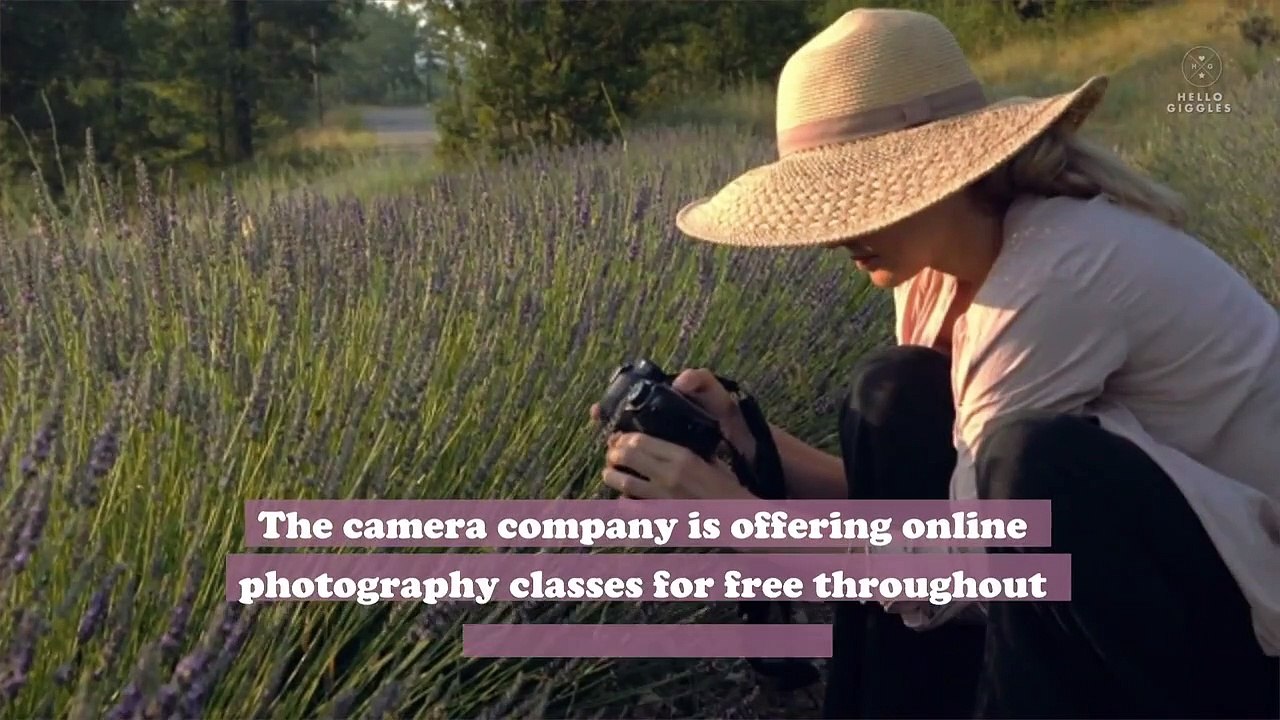 Grab your cameras—Nikon is offering its photography classes for free right now