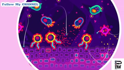 The Corona virus Explained & What You Should Do