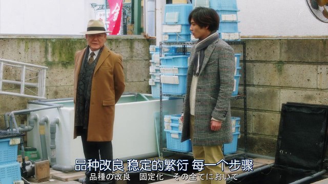 金魚姬 志尊淳瀧本美織唐田英里佳中村優子 Balaidol