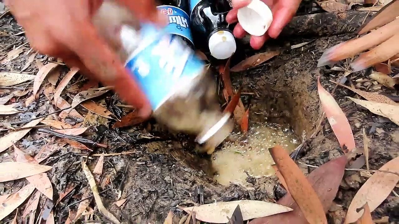 Experiment : Amazing Hot Rock Vs Coca cola Catch Python Snake From Hole