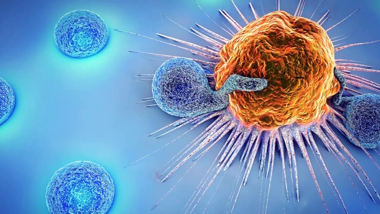 Interesting Facts About  Human Body Urdu Hindi Part 1 (Amazing Facts of Body you didn't know)