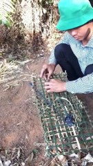 Easy Making Trap Fishing This Video Can Help you when you Need Food For Eating