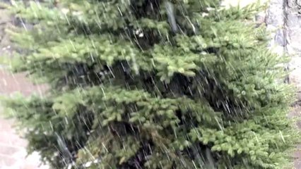 Kars nisanda beyaza büründü