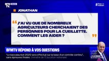 J'ai vu que de nombreux agriculteurs cherchaient des personnes pour la cueillette. Comment les aider ?