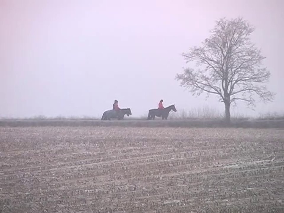 Das Sternzeichen Schütze in Natur- und Menschenwelten