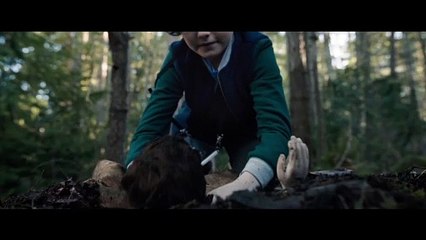 Brahms: The Boy II - Official trailer HD