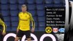 Player profile - Erling Haaland