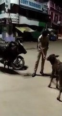 ಕೇವಲ ಲಾಠಿ ಎಟಲ್ಲ , ಹಸಿದ ಮೂಕ ಪ್ರಾಣಿಗಳಿಗೆ ಸಹಾಯ ಕೂಡ | Police Humanity | Feeding Animal