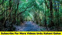 The Suicide Forest Of Japan | Aokigahara Forest | Urdu/Hindi  | URDU KAHANI GAHAR