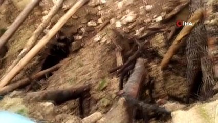 Siirt'te aşırı yağışlardan dolayı bir ahır çöktü, çok sayıda hayvan telef oldu