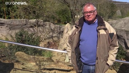 Les zoos souffrent financièrement, et les visiteurs manquent aux animaux