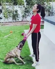 Preity Zinta uses pet pup Bruno as weight in funny workout video