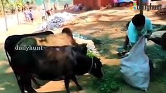 ವಿನಯ್ ಗುರೂಜಿ ದಿನ ಬೆಳಿಗ್ಗೆ ಎದ್ದ ಕೂಡಲೇ ಮಾಡುವ ಮೊದಲ ಕೆಲಸ ಇದು | Vinay Guruji | Oneindia Kannada