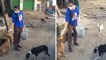 Anchor Rashmi Gautam Feeding Road Dogs During Lockdown!