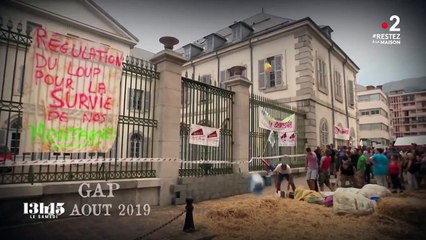 Le loup pourrait coloniser tout le territoire français dans les années à venir