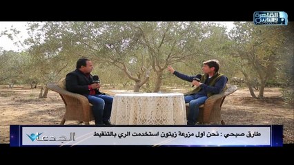 استكمالا لقصة كفاح والده .. تعرف على نجاح طارق أبو حمدة في إنتاج أجود أنواع الزيتون في مصر