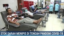 Stok Darah Menipis, PMI Surabaya Jemput Bola Pendonor