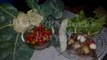 23- ...!_ Harvest _ Harvesting Tomatoes, Snake guard, Cauliflower, Radish