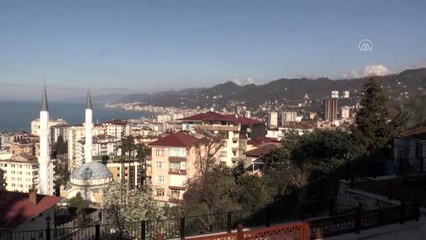 Rize'ye gelmek isteyenlerin WhatsApp grubu kurdukları belirlendi