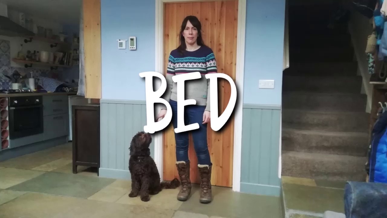 TEACH YOUR DOG TO GO ON THEIR "BED"