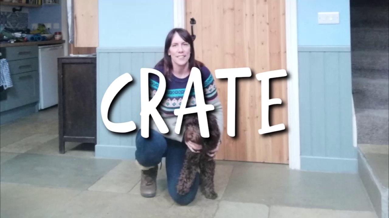 CRATE TRAINING