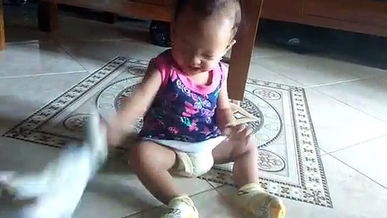 kucing lucu dibantai anak kecil, lihat apa yang terjadi