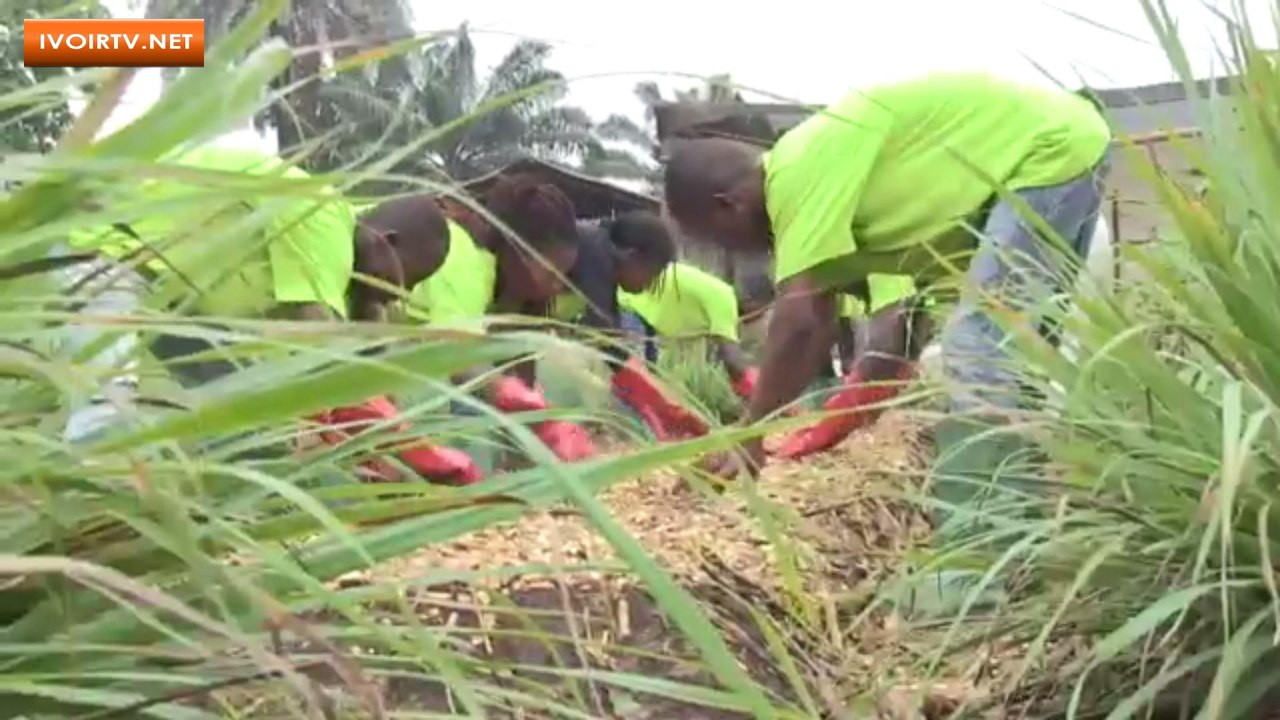 Bouaké/ Innovations :Les Étudiants des Établissements Henri Poincaré à l'école de la pratique au Centre Songhaï