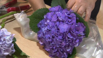 택배비 내 주고 임대료 깎아 주고! / YTN