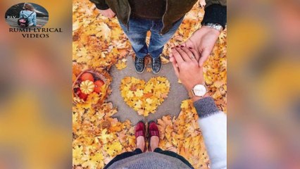 Maanjah - Aayush Sharma & Saiee M Manjrekar | Manjah Full Lyrical Video | New Cute Love Song