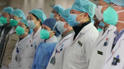 دراسات طبية متناقضة حول إمكانية انتقال فايروس كورونا من الحيوانات إلى الإنسان