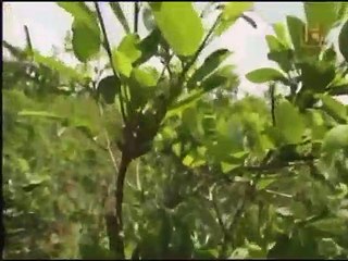 Documental Pablo escobar 2 de 5