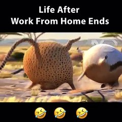 Life after corona lock down.