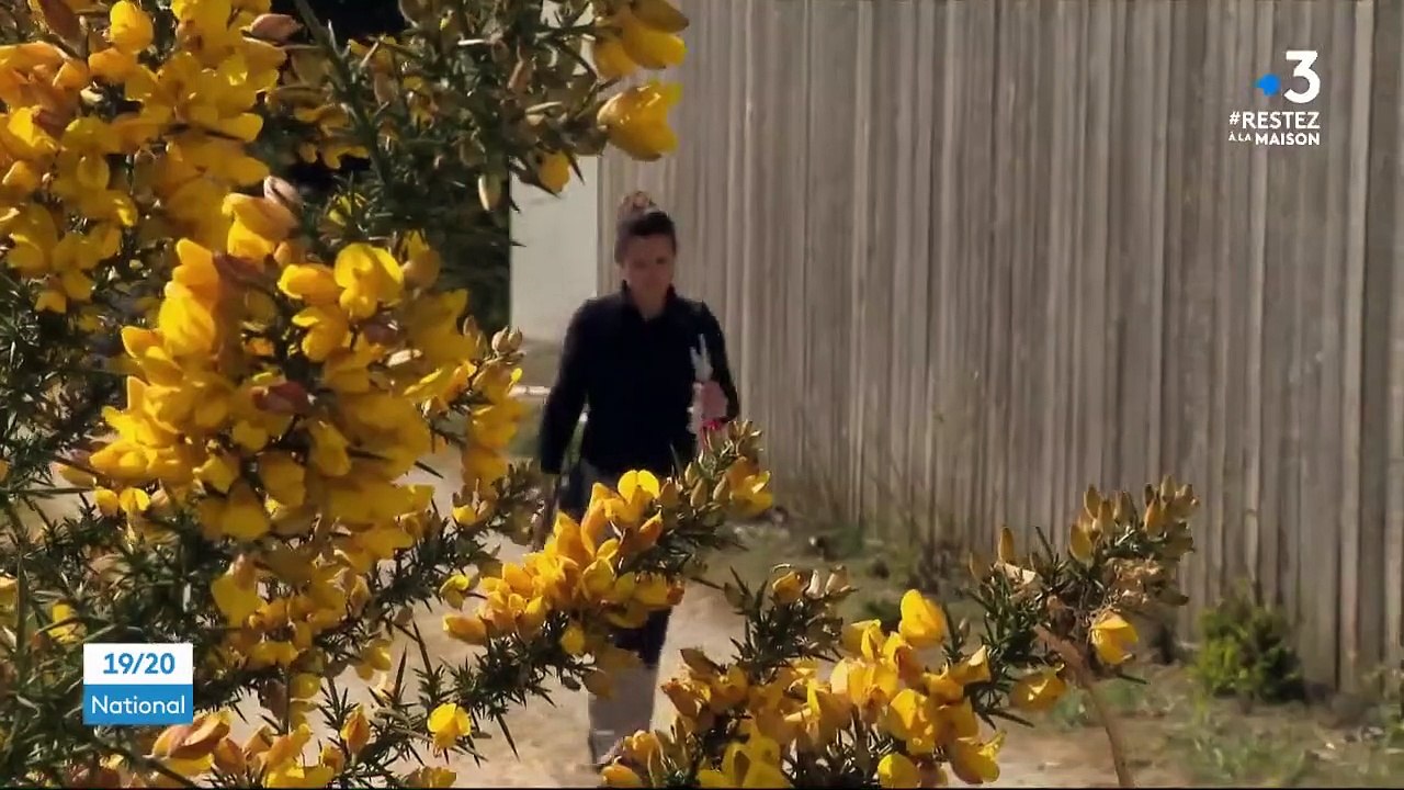 Morbihan : au zoo de Branféré, inquiétude sur la survie du parc animalier