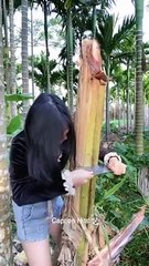 Funny Chief Eating Natural fruit and Delicious