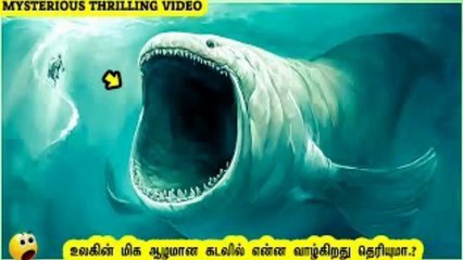உலகின் ஆழமான கடலில் வாழும் உயிரினங்கள் பற்றிய அதிர்ச்சியான தகவல்....என்ன தெரியுமா?