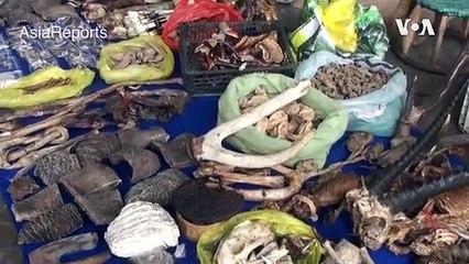 Is Banning Wildlife Trade in China Necessary After COVID-19? Find it Out Here