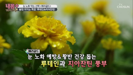 눈 노화 막는 꽃?❀ ❛이것❜으로 눈 건강 사수하자!