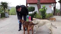 Salgına rağmen sokak hayvanları unutulmadı