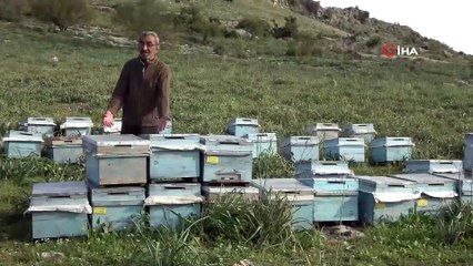 Çalınan Arı Kovanlarının Bulunmasına Değil İlgiye Sevindi
