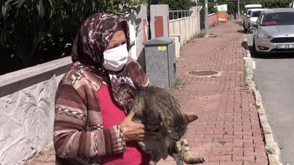 Beslediği sokak kedileri "aç kalmasın" diye 112'yi aradı (1)