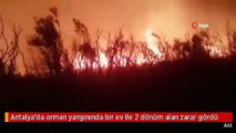 Antalya'da orman yangınında bir ev ile 2 dönüm alan zarar gördü