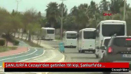 ŞANLIURFA Cezayir'den getirilen 191 kişi, Şanlıurfa'da karantinaya alındı