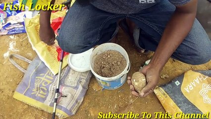 How To Fish The Method Feeder ! Spring Feeder For Big Carp