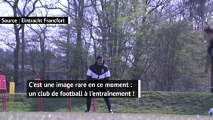 Coronavirus - Francfort de retour à l'entraînement
