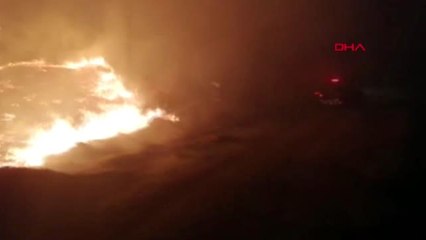 MUĞLA Seydikemer'de alevler 2.5 hektar kızılçam ormanını küle çevirdi