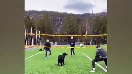 Koronavirüs | Evinde antreman yapan plaj voleybolcusu Mathias Berntsen'in takım arkadaşı köpeği 'Kiara' oldu